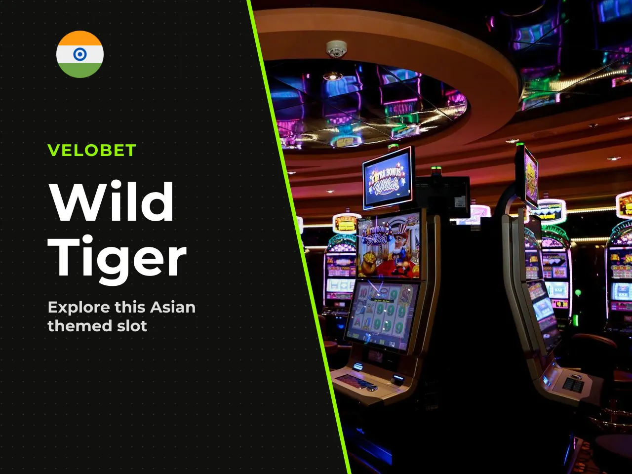 What Wild Tiger Slot Online Is